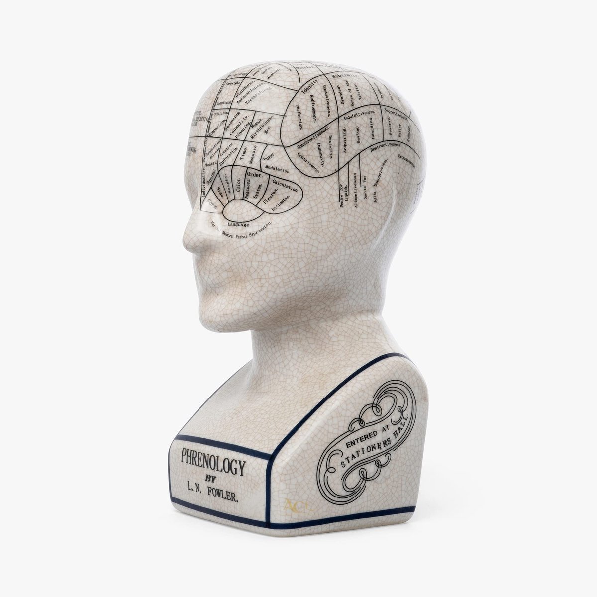 Retro Phrenology Hoofd Ornament - Keramiek - 23 cm Wit