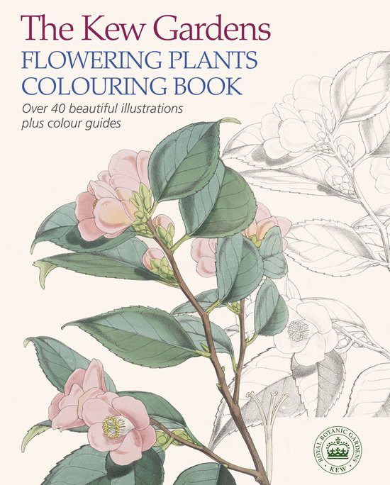 Kew Gardens Flowering Plants Colouring B - cover