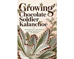 Growing Chocolate Soldier Kalanchoe
