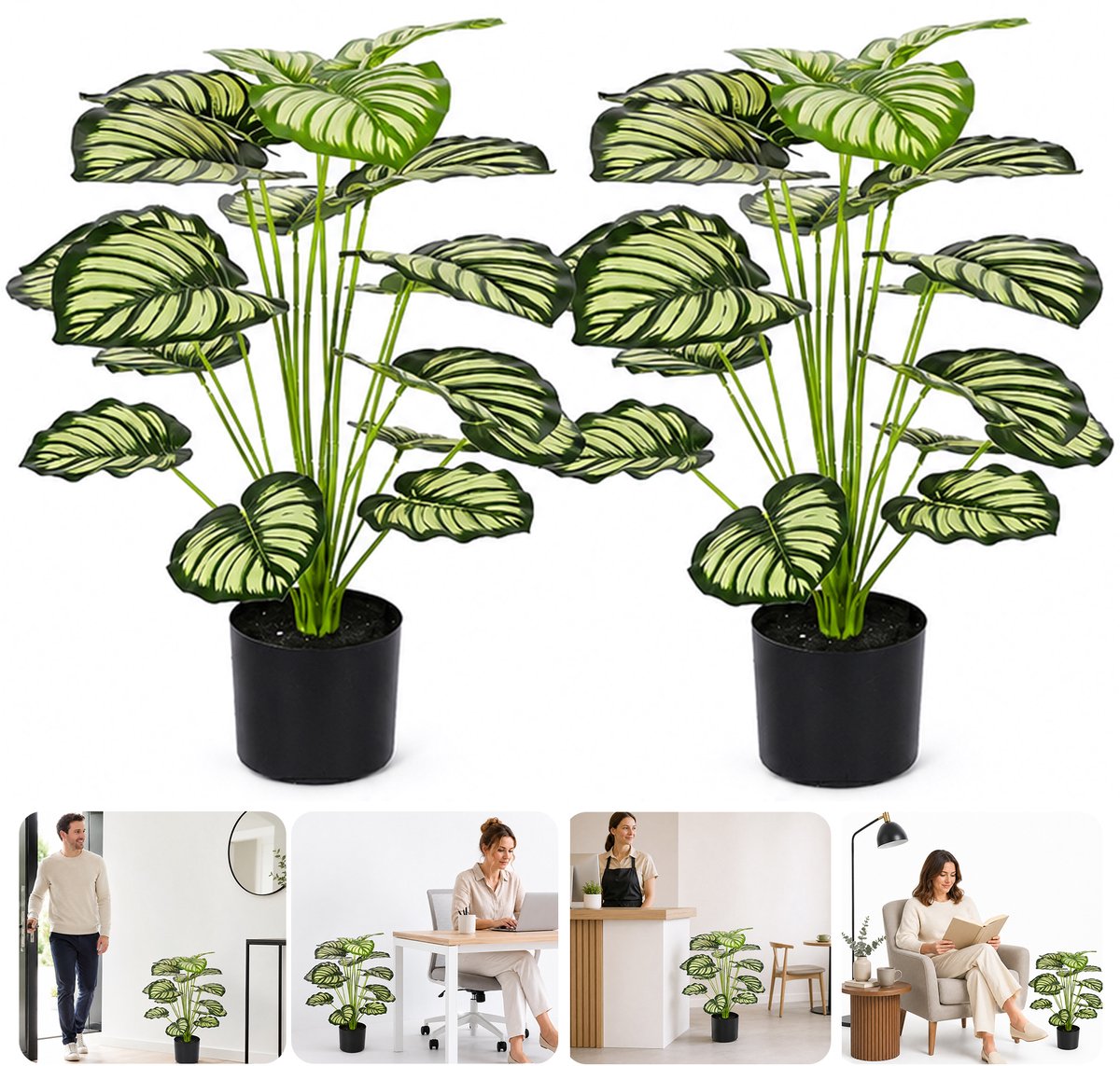 Wishdor Kunstplant Calathea - Set van 2 - 70 cm - Levensechte Grote Kamerplant incl. Zwarte Pot - Faux Planten Woonkamer Decoratie