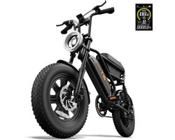 T16 16" x 3" elektrische fiets met uitneembare 48V 13Ah-accu