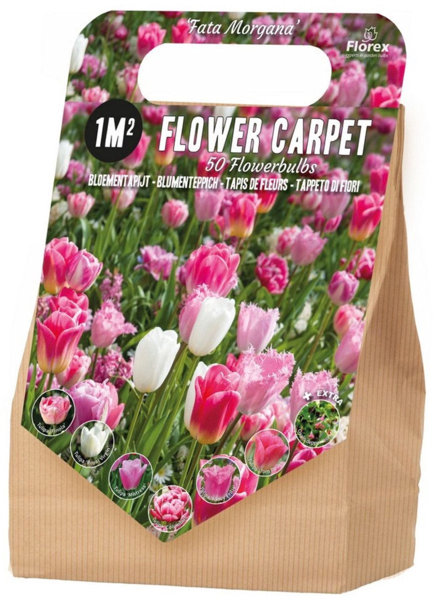 Bloembollenpakket 1 m² Fata Morgana – 50 bloembollen - Snijbloemen - Voorjaarsbollen - bloeit in Maart / April / Mei