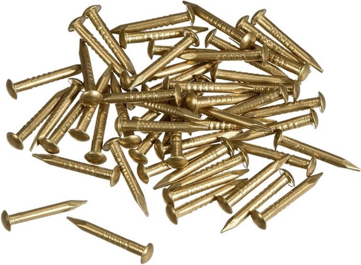 50 Stuks Messing Spijkers en Pins Assortiment, 1.5mm x 12mm, Wandspijkers voor Houtbewerking, Paneelspijkers voor Foto's, Lijsten en Meubels