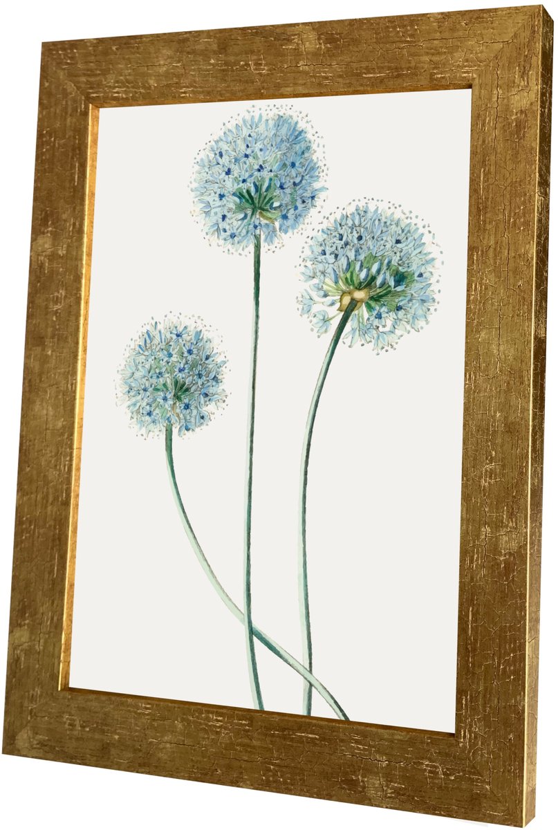 Houten Fotolijst A4 (21x29,7 cm) HELA - Diverse kleuren