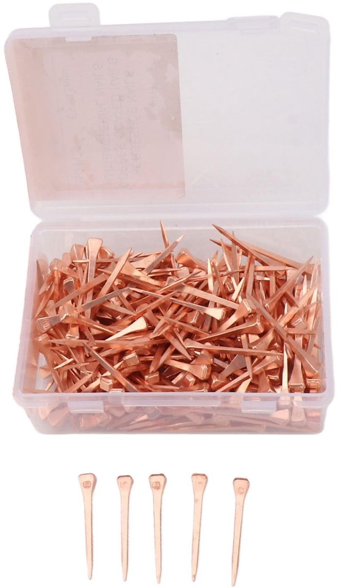 Solidchoice - 250 Stuks Duurzame Hoorngen Spijkers met Opbergdoos
