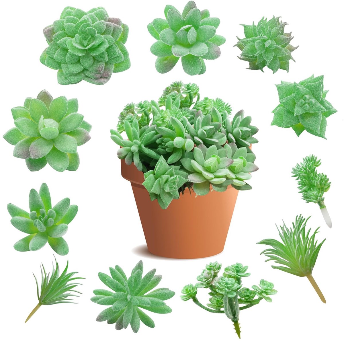 Geassorteerde Faux Succulente Pick - Kunstplanten - Set van 11 - Groen - PVC