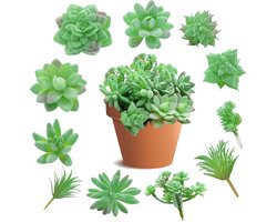 Geassorteerde Faux Succulente Pick - Kunstplanten - Set van 11 - Groen - PVC
