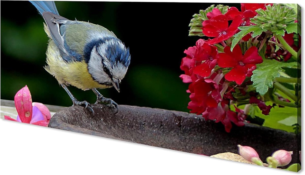 Canvas Schilderij Vogel - Wanddecoratie Kunstprint - Woonkamer Decoreren - Op Houten Frame - 120x60 cm - Meerkleurig