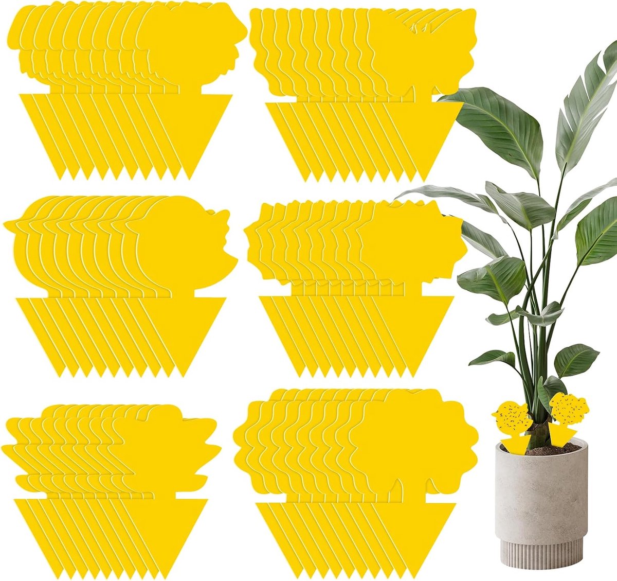 Gele stickers, 60 stuks, blauwe borden voor planten binnen en buiten, insectencontrole, waterdicht en niet giftig