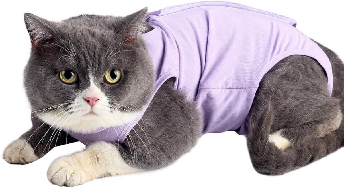 Kat Herstelpak Met Anti likken Voor Chirurgische Abdominale Wonden Zachte Ademende Thuis Huisdier Kleding E kraag Alternatief Voor Katten Honden Na Chirurgie Draag Pajama Suit M, Paars