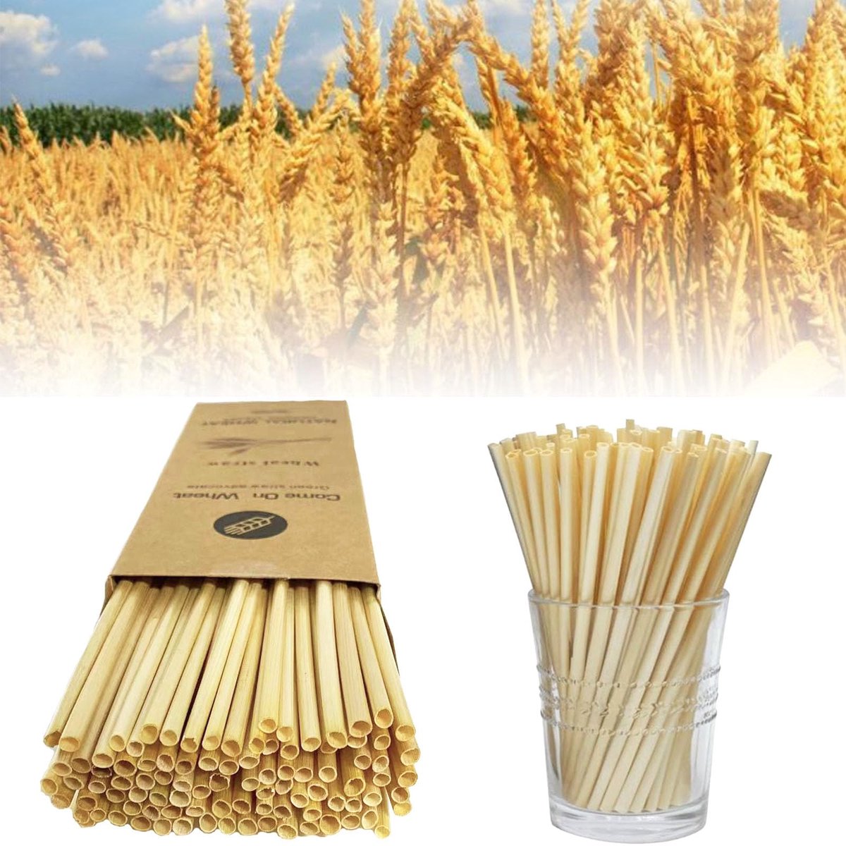 Pak van 100 rietjes van natuurlijk rietje, milieuvriendelijk en biologisch afbreekbaar rietje, herbruikbaar, 20 cm/kaliber 4 mm, voor drankjes van bar, feestjes, thuis, melk, cocktail