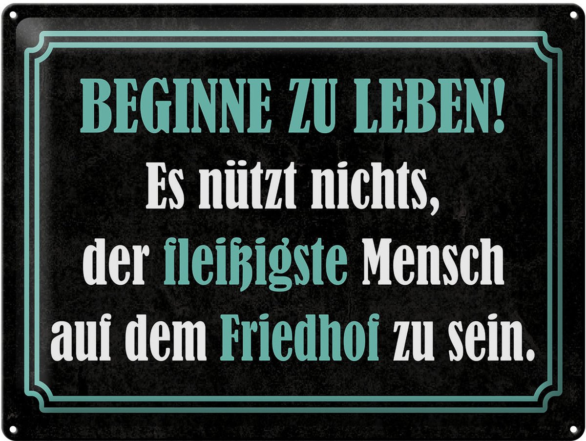Blechschild Spruch 30x40 cm Beginne zu leben Deko Schild