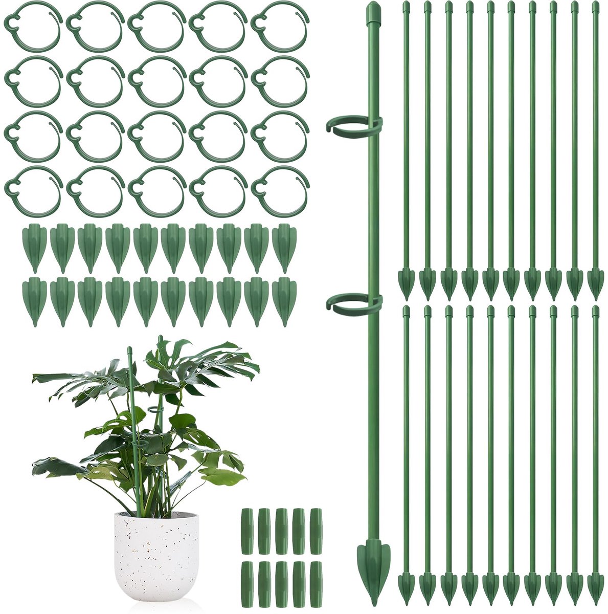 set van 20, 30 cm klimstokken met bevestigingsklemmen, in hoogte verstelbare houders, geschikt voor monstera, tomaten, komkommers, orchideeën, rozen en klimplanten