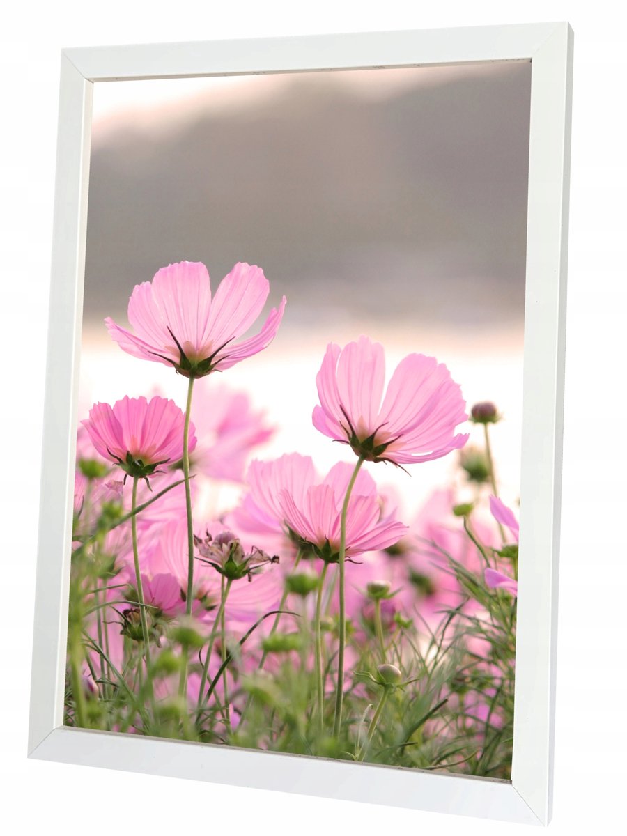 DAISY Fotolijst 30x40 cm Wit - Staand & Hangend
