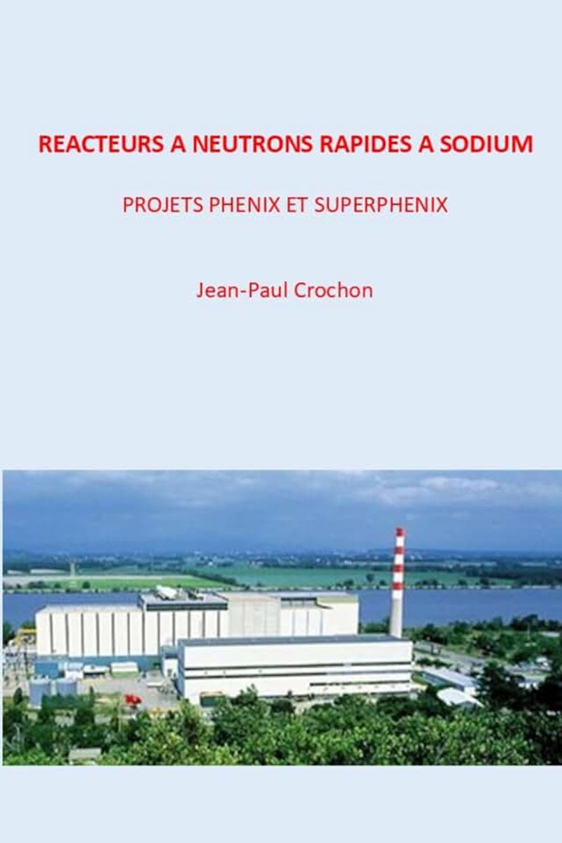 A NEUTRONS RAPIDES A SODIUM PROJETS PHENIX ET SUPERPHENIX