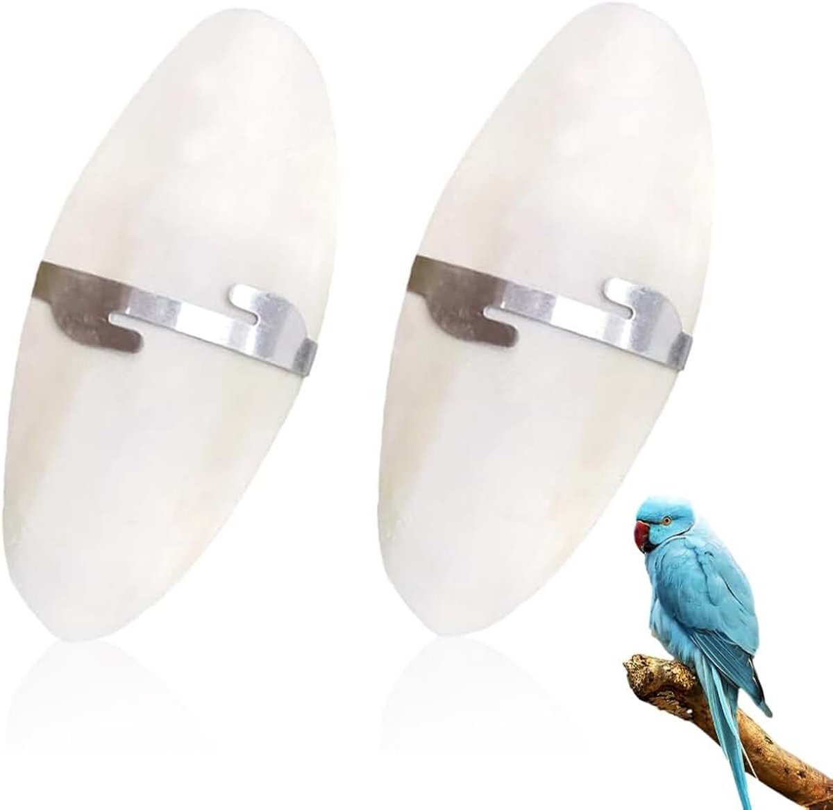 2 stuks natuurlijke sepiakbotten voor papegaaien, schildpadden, vogels met 2 metalen houders (ca. 11 cm)