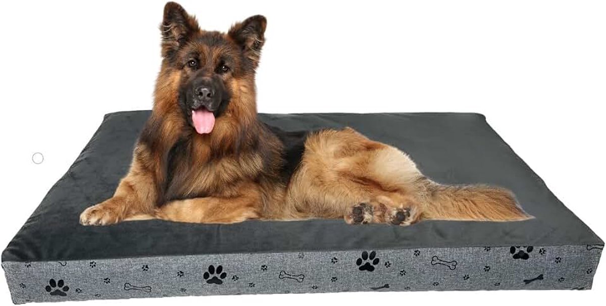 Orthopedisch hondenbed voor kleine honden, 70 x 50 cm, pluche velours bovenkant, extra dikke vulling van 10 cm, antislip bodem, wasbare afneembare hoes, grijs/zwarte poten