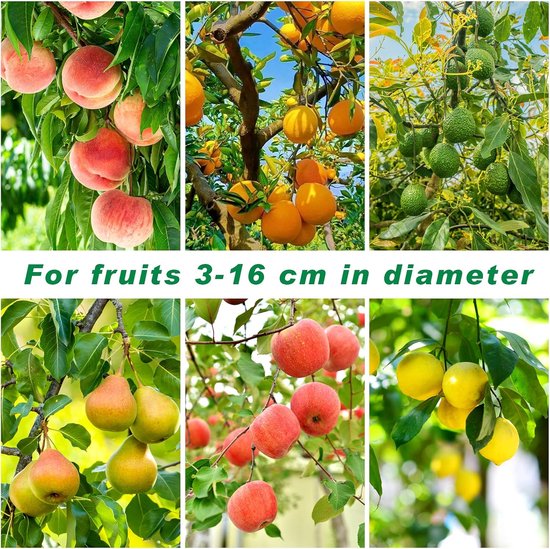 KZQ Fruitplukstok Telescopisch Met Mand 3,5 Meter Voor Appels Mango's Kersen En Citrusvruchten — afbeelding 3