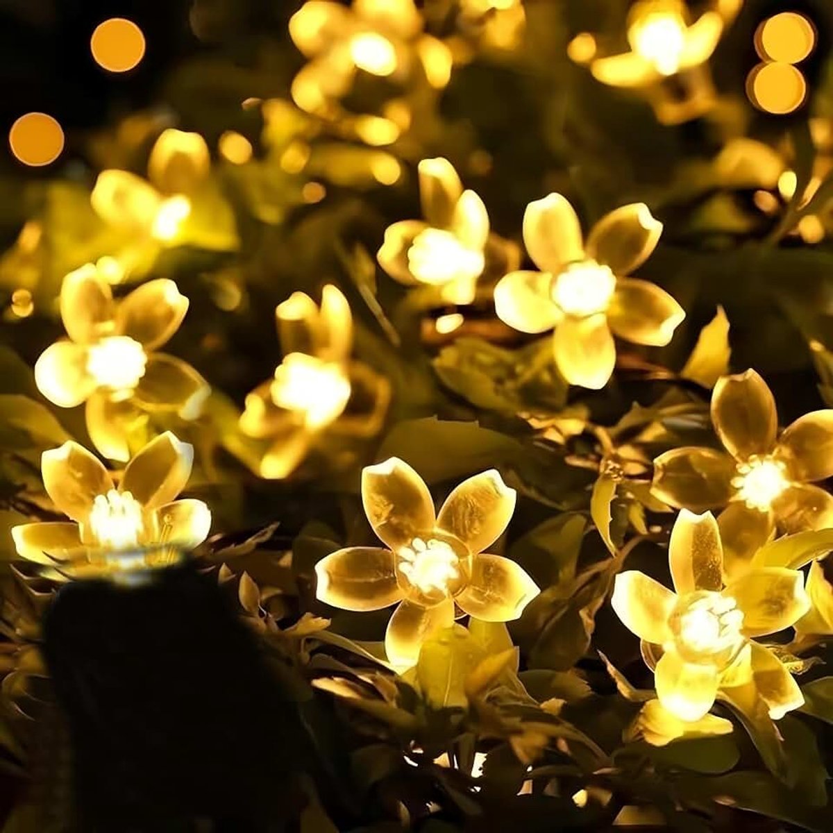 Lichtsnoer op batterijen en USB-voeding, 32FT/10M, warm 80 leds, kersenbloesem, decoratie voor binnen en buiten, ideaal voor Kerstmis, tuin, verjaardag, bruiloft, feest