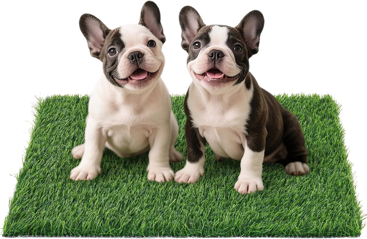 Vervangend Kunstgras Plasmat voor Honden Zindelijkheidstraining - Snelle Afvoer, wasbaar en eenvoudig te reinigen - voor Puppy’s en Huisdieren - Beschermt Vloer en Meubels op Balkon en Terras - 35x35cm