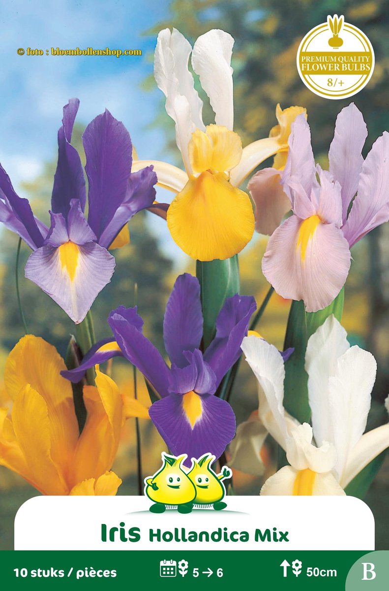 4 Zakjes Iris Gemengd maat 8/+