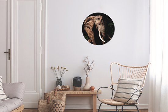 Cercle mural - Aluminium - Éléphant - Animaux - Dents - ⌀ 30 cm