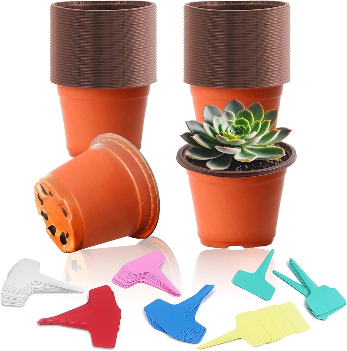11,3 cm bloempot, 60 stuks kunststof plantenpotten, bloempotten met 60 stuks plantenborden, plantenpot met afvoergaten voor de kweek van kleine potplanten