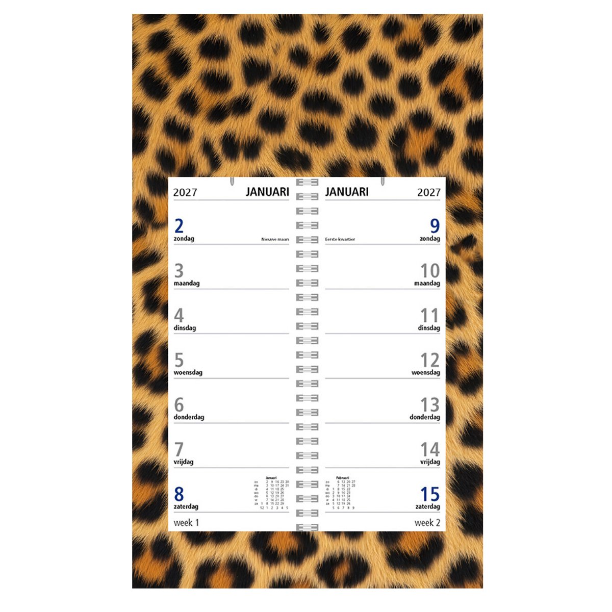 Castelli - omlegweekkalender op schild 2027 - ringband - 2 weken overzicht - formaat 20x33cm - dessin schild Panter