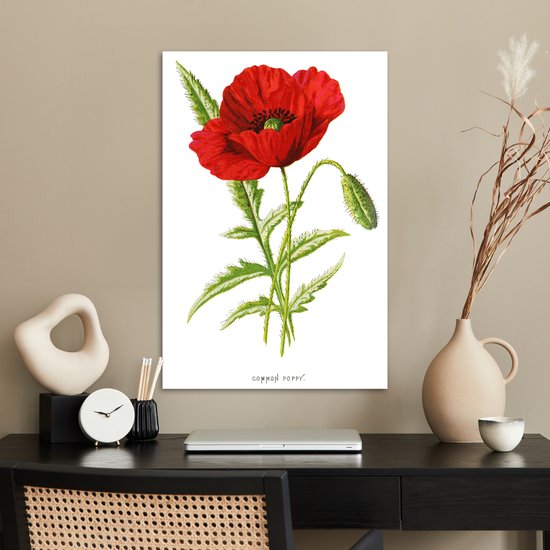 Illustration Vintage d'une affiche fleur rouge papier 40x60 cm - Tirage photo sur Poster (décoration murale salon / chambre) / Poster Fleurs
