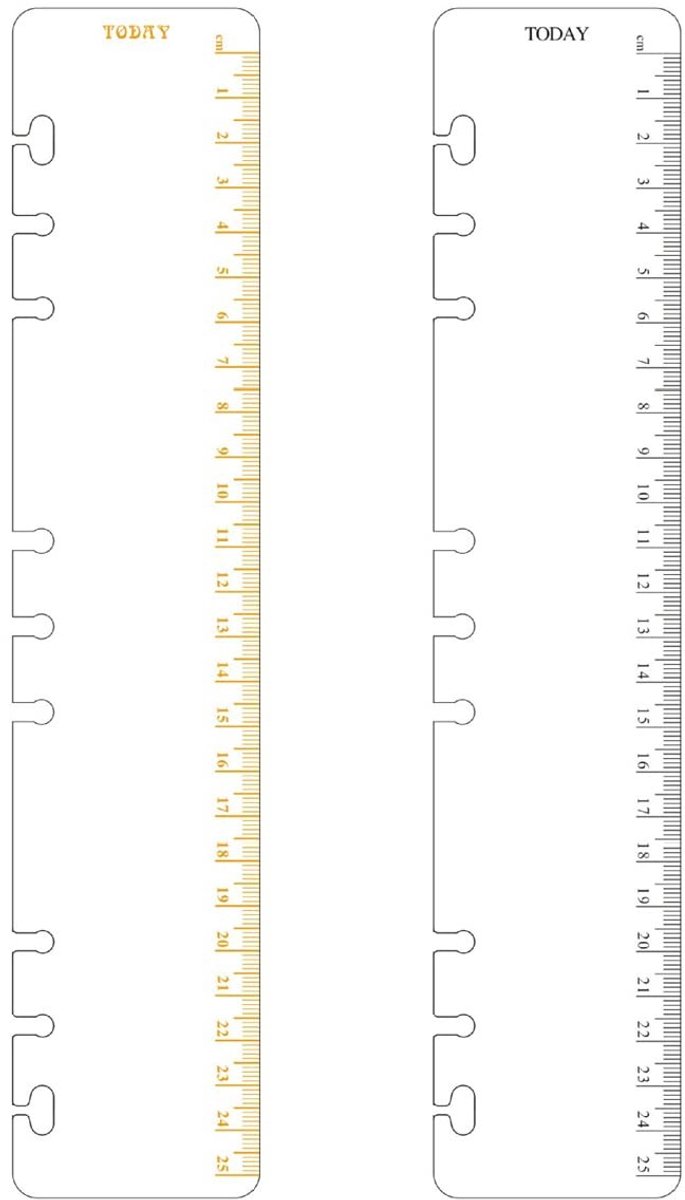 Dailygoods- Markeerliniaal Geperforeerd - D-binding - Divider - Plastic - Waterdicht - Duurzaam Materiaal - Binder