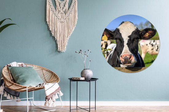 WallCircle - Cercle Mural - Cercle Mural - Vache - Clôture - Herbe - Animaux - Aluminium - Dibond - 90x90 cm - Intérieur et Extérieur