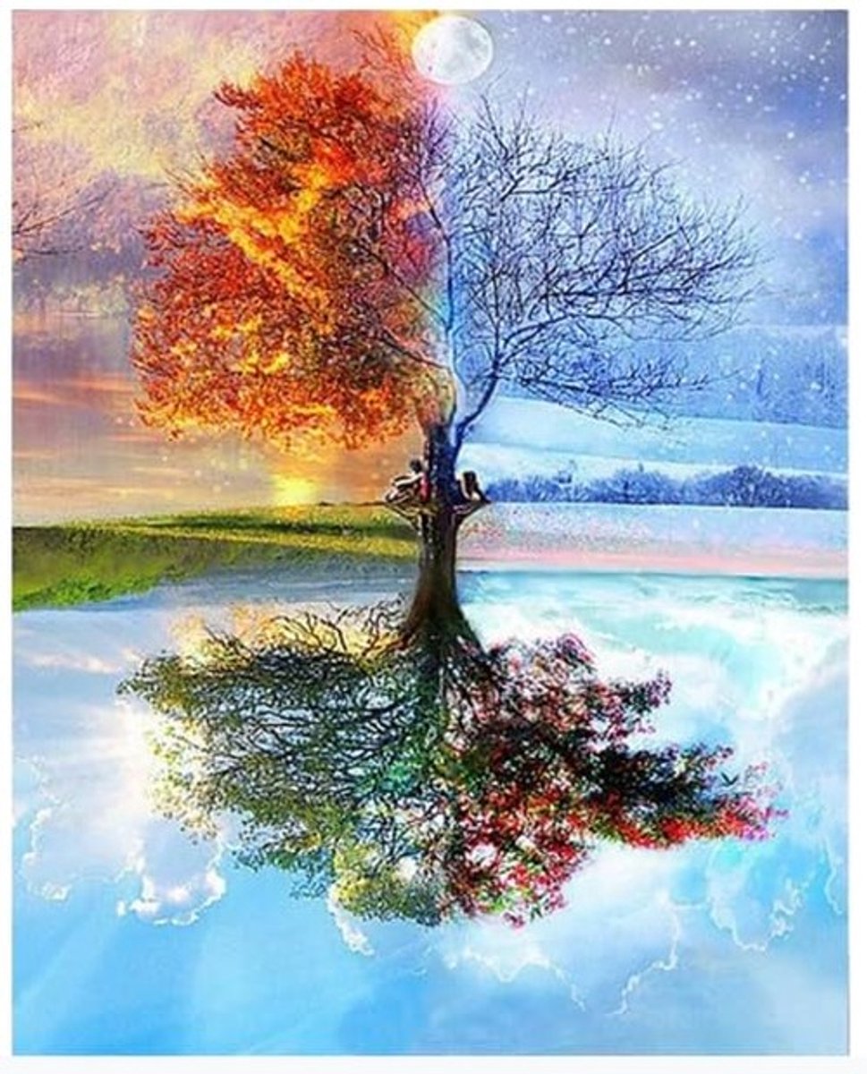 Dailygoods- Schilderen op Nummer - Kleurrijke Boom - Professioneel Canvas - 40 x 50 cm - Milieuvriendelijk Acryl - Eenvoudig te Verven - Schilderkit
