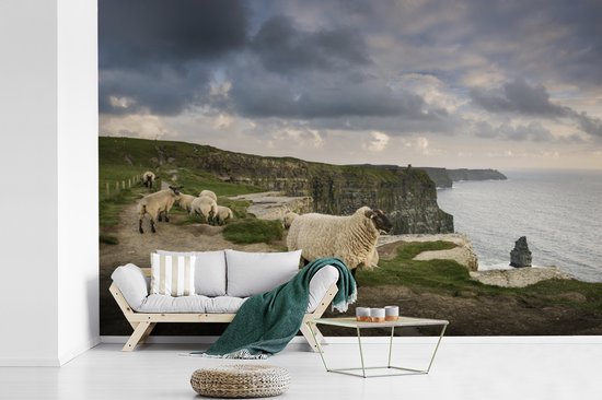 Behang - Fotobehang Schapen in Ierland - Breedte 360 cm x hoogte 240 cm
