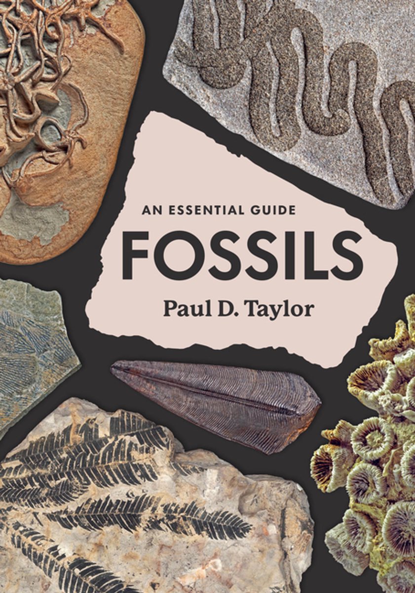 Fossils, An Essential Guide