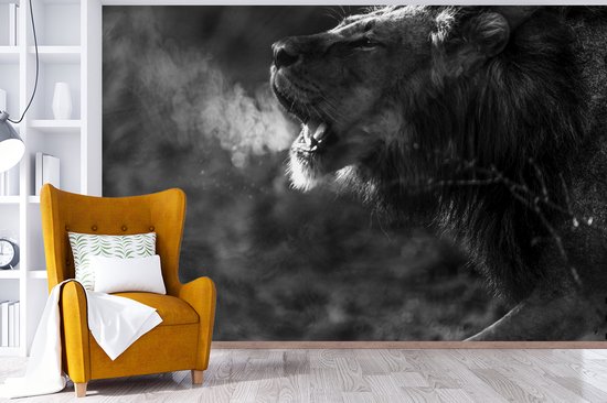Papier peint Papier peint photo en vinyle - Lion rugissant largeur 390 cm x hauteur 260 cm - Tirage photo sur papier peint (disponible en 7 tailles)