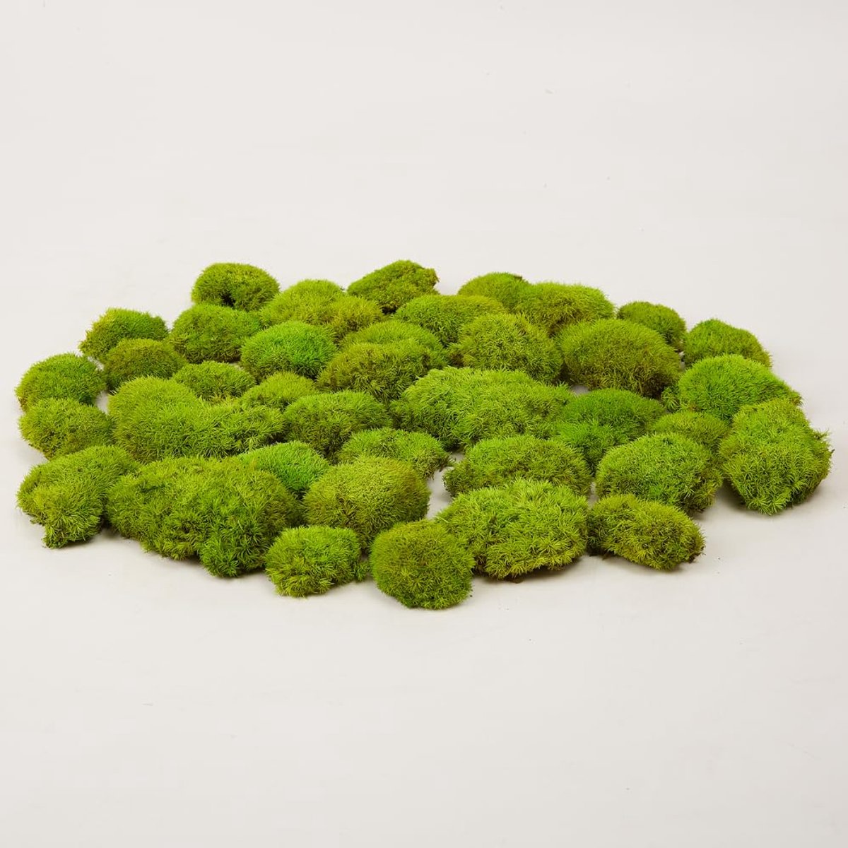 Pole Mos Kussen Bun Kussen Natuurlijke Groene Decoratieve Echte Natuurlijke Groene DIY Kit Tuinieren Kunst Muur Decor Bloemist Decor Pasen Tafel Decor Bruiloft (1,5 m², Groen-E)