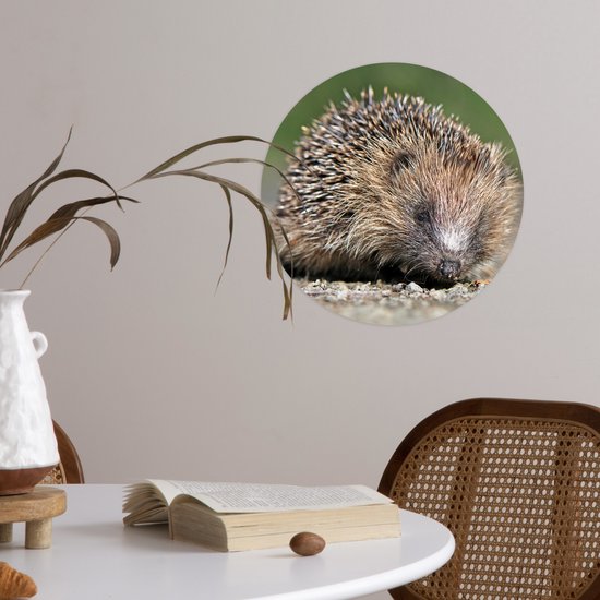 Cercle de papier peint - Hérisson - Water - Soleil - ⌀ 30 cm - Cercle mural - Autocollant - Sticker papier peint