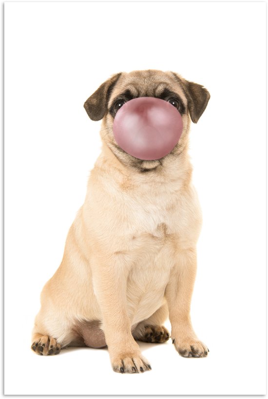 Poster Chien - Animaux - Chewing Gum - Enfants - Garçons - Filles - 120x180 cm XXL - Poster Kids Room