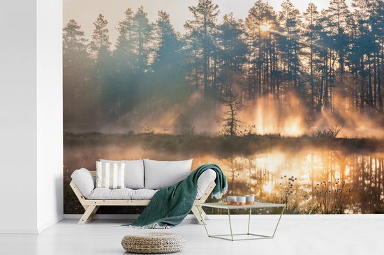 Papier Peint - Papiers Papier peint photo Lac - Soleil - Arbre - Largeur 360 cm x Hauteur 240 cm