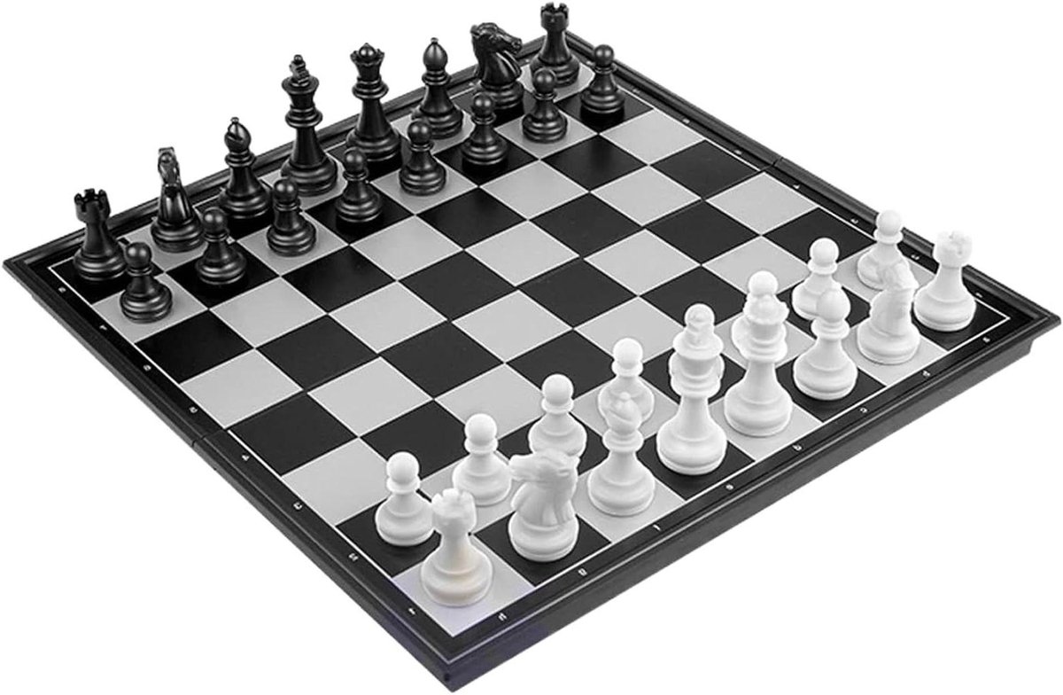 Reis Schaken - Dammen Spel - Familie Vermaak - Magnetische Stukken - Compact Formaat - Zwart Wit