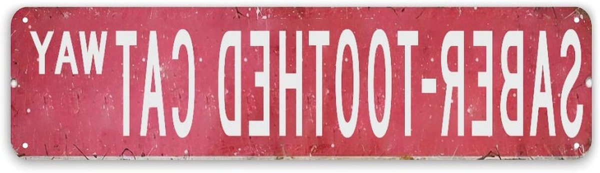 Gepersonaliseerd straatnaambord - Metalen decoratie - Huis versieren - Aanpasbaar ontwerp - 30 x 76 cm - Vintage stijl