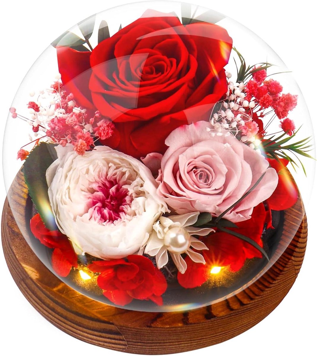 Geconserveerde Roos - Eeuwige Bloem - Cadeau Geven - 100% Echte Bloem - 12 x 12 x 15 cm - Rood
