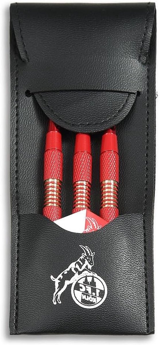 Dartpijlen en Etui - Dartset Pijlen - Darts Spelen - Officiële Club Kleuren - ca. 15 x 6 cm