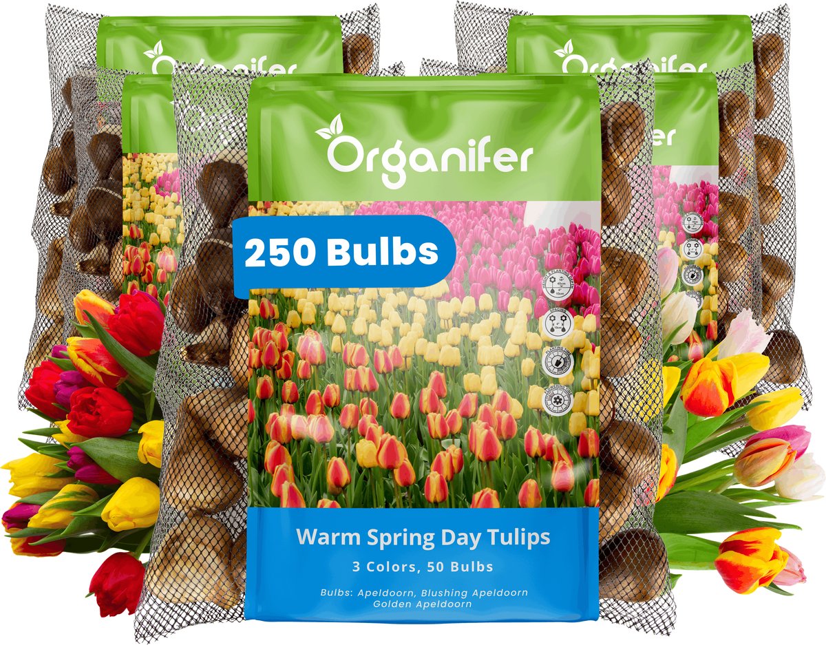 Tulpenbollen - 250 Bloembollen - Warm Spring Day - Apeldoorn Mix Geel Oranje Rood - Organifer