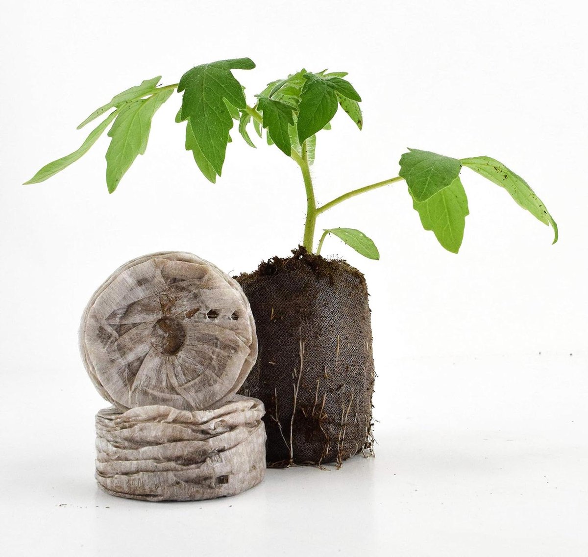 Planten Start Pellets - Zaaiblokjes Groei - Zaailingen Kweken - Reduceert Wortelstress - 50mm Diameter - Bruin