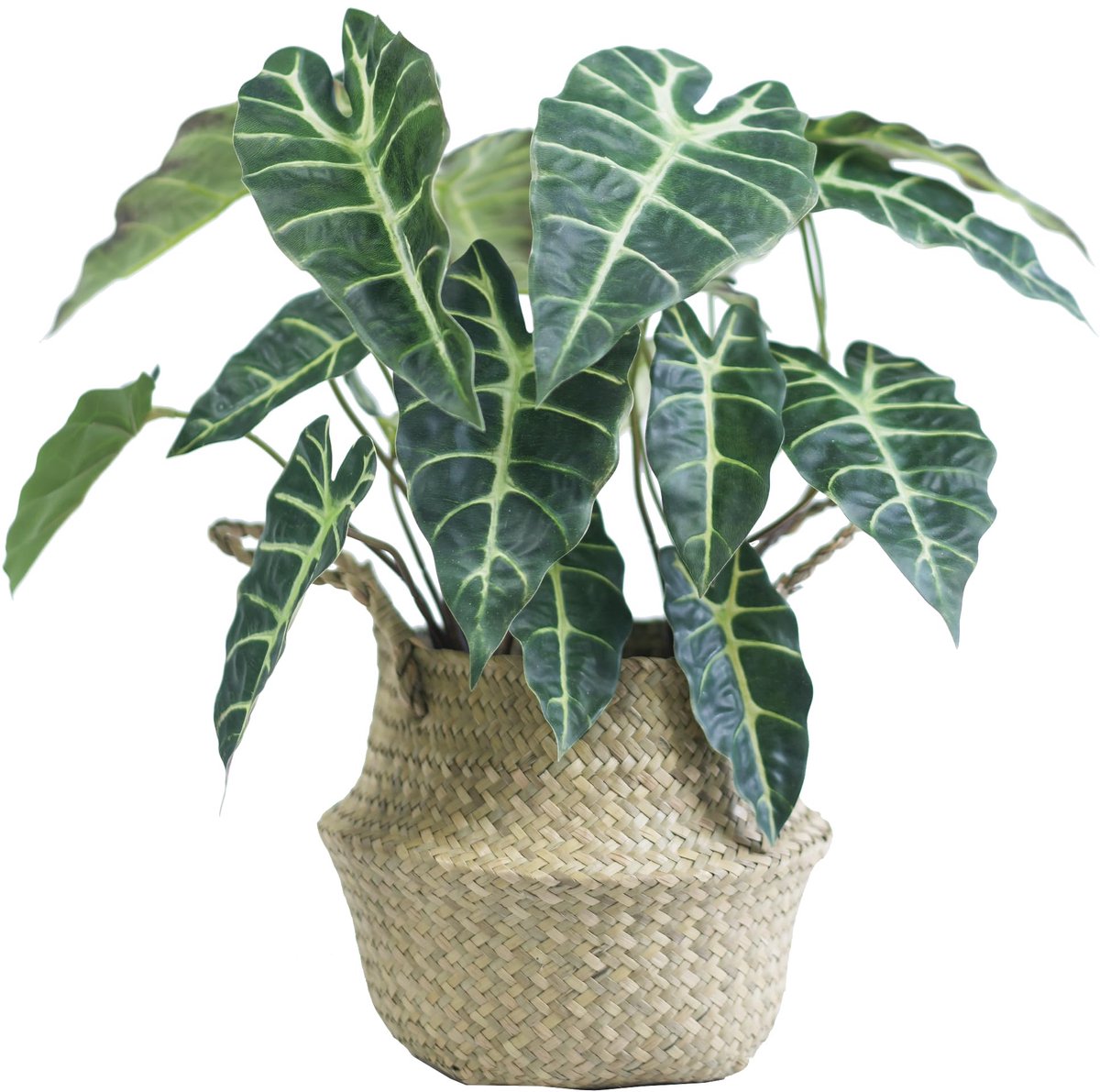 Kunstmatige Alocasia Plant, 46cm Woonkamer & Slaapkamer Deco - Voor Vensterbank