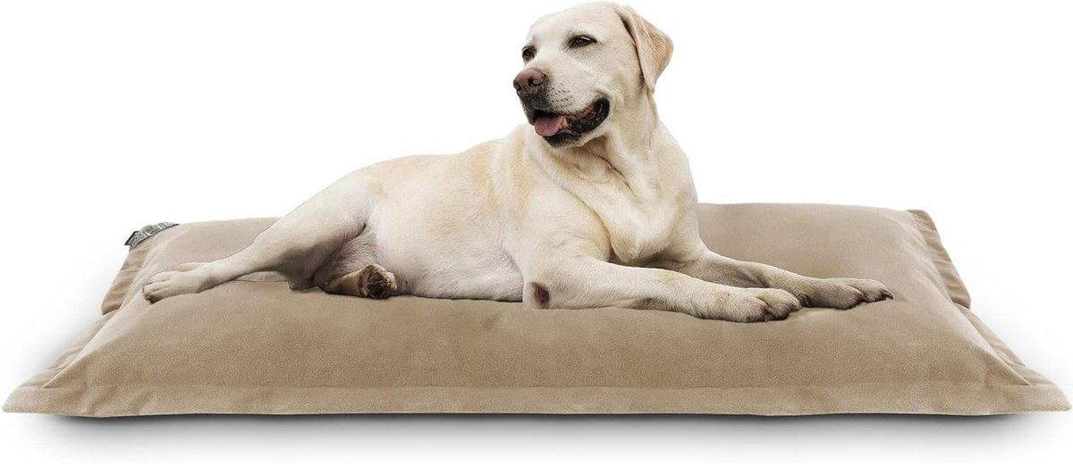 Hondenbed XL - Huisdier mand - Comfortabel slapen - Afneembare hoes - 135 x 97 cm - Beige