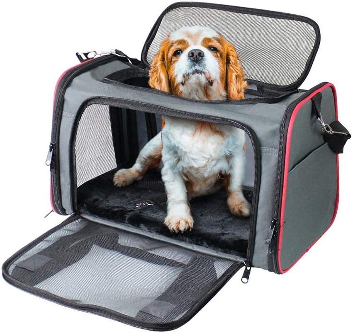 Huisdierendrager - Reistas Kat Hond - Veilig Reizen - Luchtvaart Goedgekeurd - 48x30x30 cm - Grijs Rood