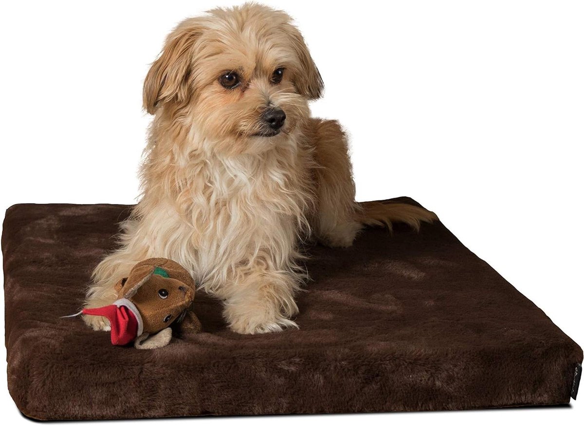 Hondenmatras - Orthopedisch Bed - Rustgevende Slaap - Gewrichtsvriendelijk Schuim - 75x55cm - Bruin