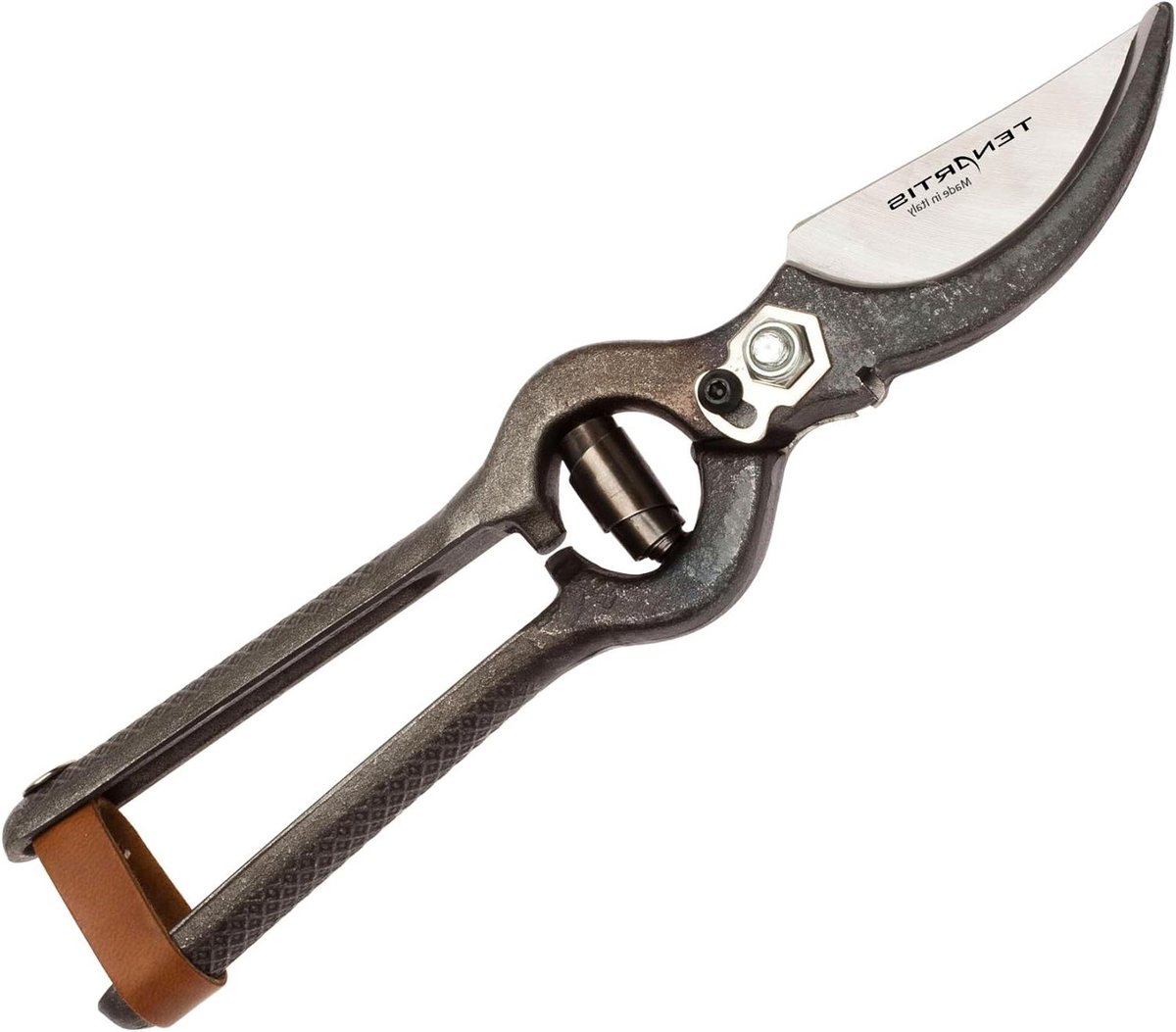 Snoeischaren - Tuinschaar Knipschaar - Tuinonderhoud Snoeien - Gehard Stalen Bladen - 25 cm - Metaal